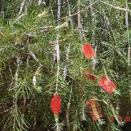 Sea To - Sea Front View Appartamento *