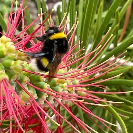 Sea To - Sea Front View *
