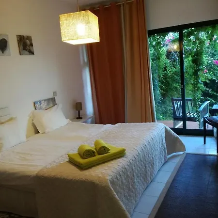 Sea To - Sea Front View