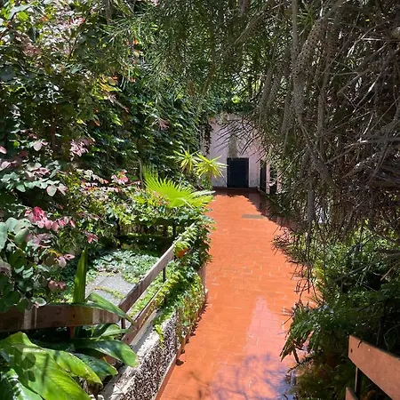 Lägenhet Sea To - Sea Front View Caniço