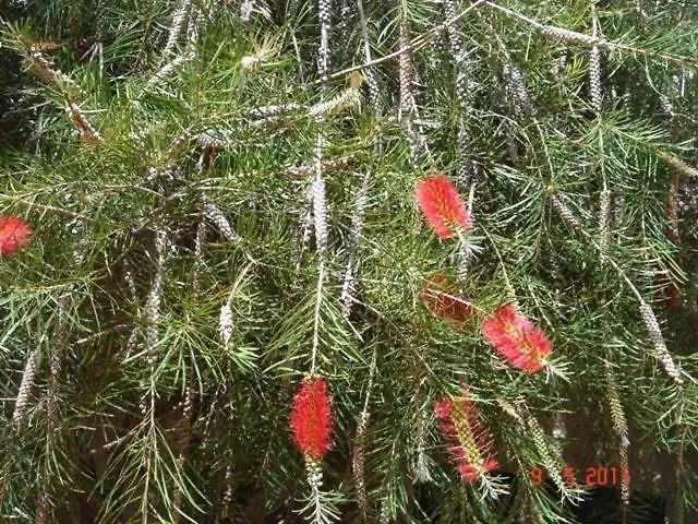 Sea To - Sea Front View Apartmán *