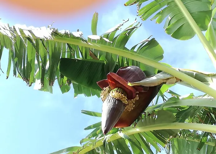 Sea To - Sea Front View * Caniço