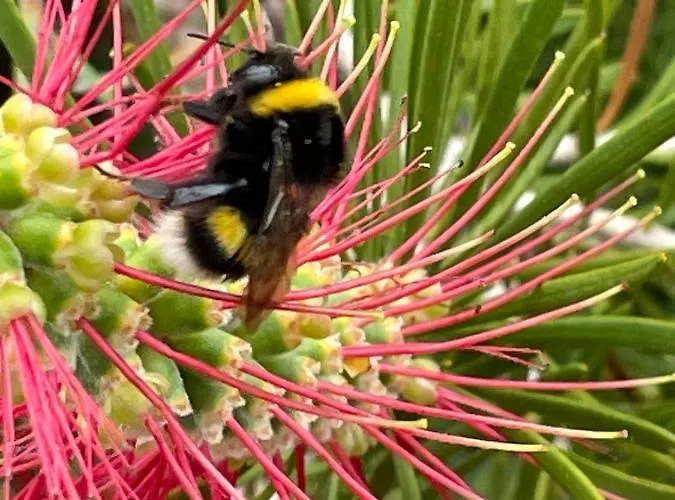 Sea To - Sea Front View *